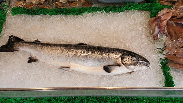 Harga Ikan Salmon di Giant